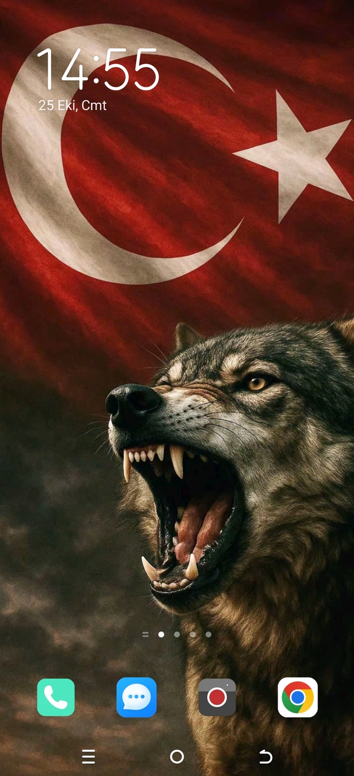 Telefon ekranınızda ne var 🌷🙂‍↔️?