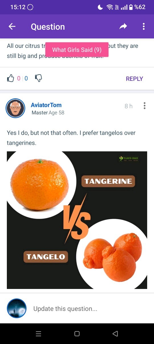 Tangeloyu nasıl yiyor sunuz?