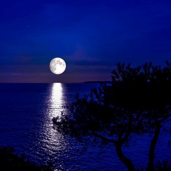 Gece karanlığının dinginliği mi , sabah güneşinin huzuru mu hangisi senin için cazip?