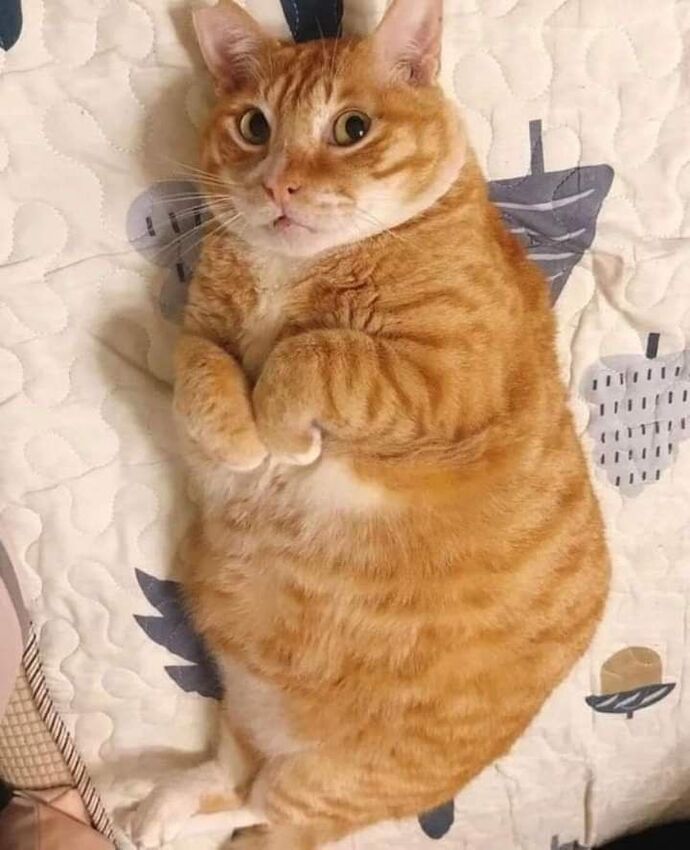 Hanımcı mısınız beyler?