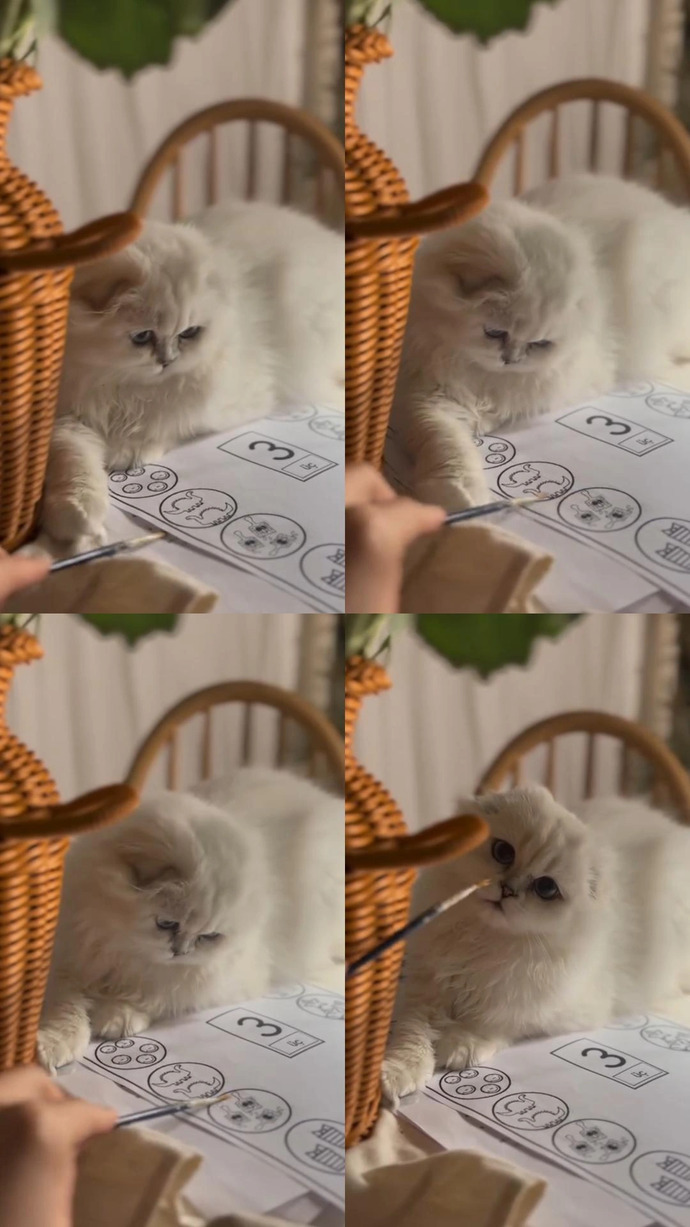 Kimle resim çizmeyi seversiniz?