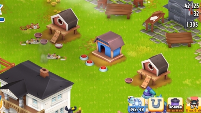 Hayday'daki kediler nereye kayboluyor?