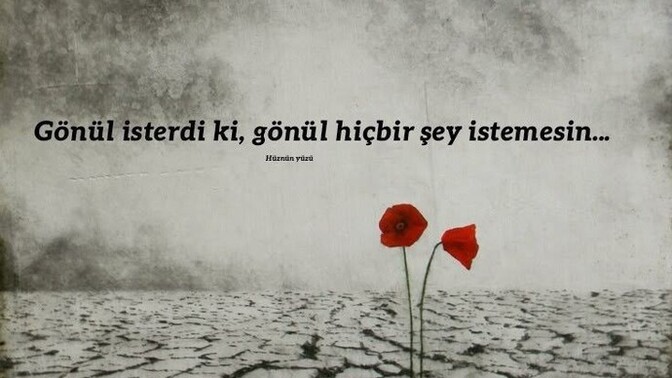 Gönül ne ister?