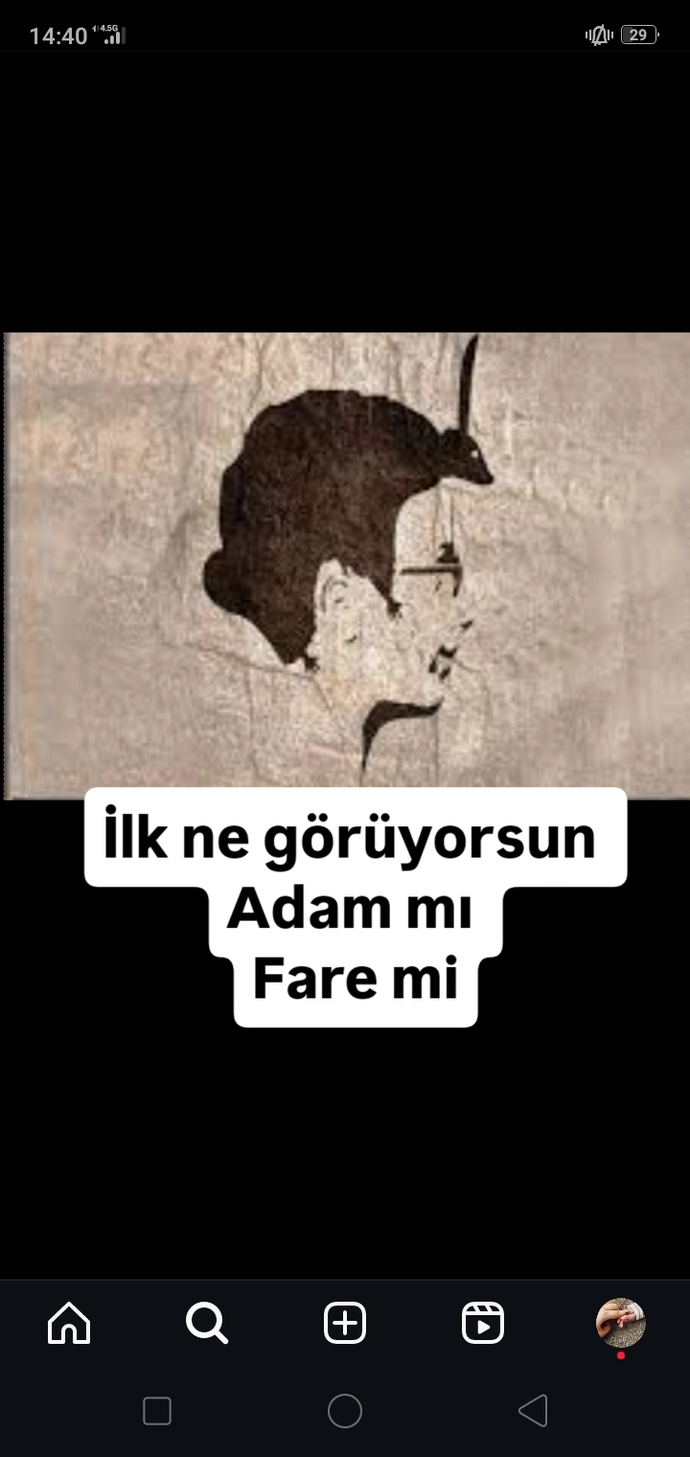 Resime ilk baktığın an ne görüyorsunuz?
