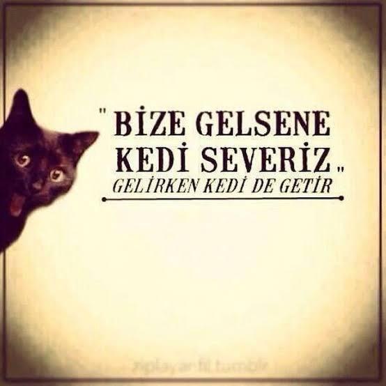 ''Bize gelsene film izleriz'' erkek yalanı mıdır?