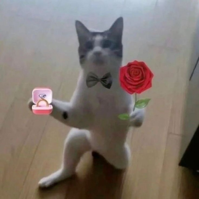 İlk buluşmada evlilik konuşulur mu?