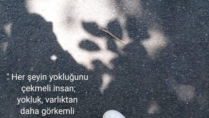 Fotoğraf çekmeyi severmisiniz?