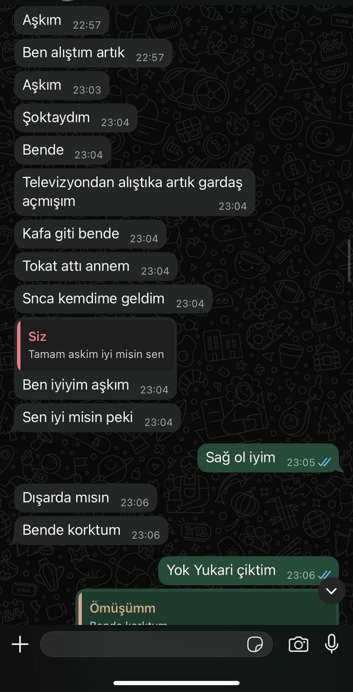 Sallandık Deprem oldu ve konuşmalarimiz böyle sizce seviyor mu beni?