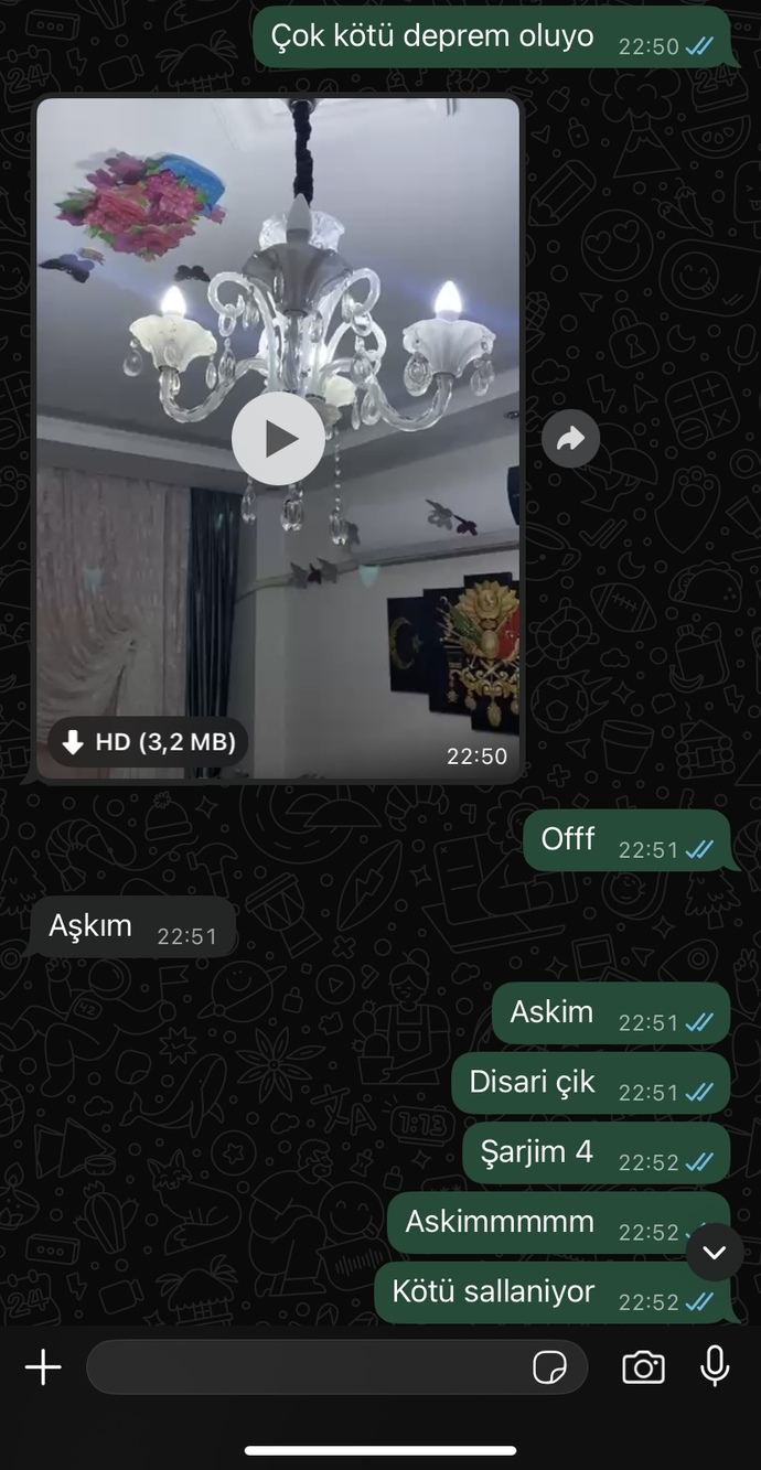 Sallandık Deprem oldu ve konuşmalarimiz böyle sizce seviyor mu beni?