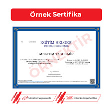 Güvenli sürüş eğitiimi aldınız mı?