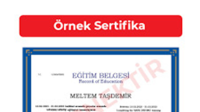 Güvenli sürüş eğitiimi aldınız mı?
