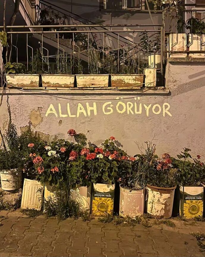 Bazı insanlar neden hamam böceği gibi sadece yağmurlu havalarda ortaya çıkıyor?