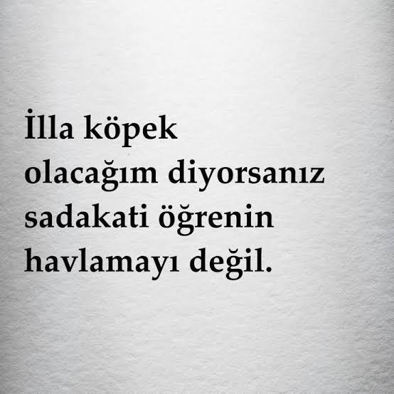 Biri sana yanlış yaptığı zaman ne yaparsın?