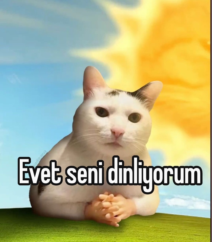 Neden evlenmiyorsun?