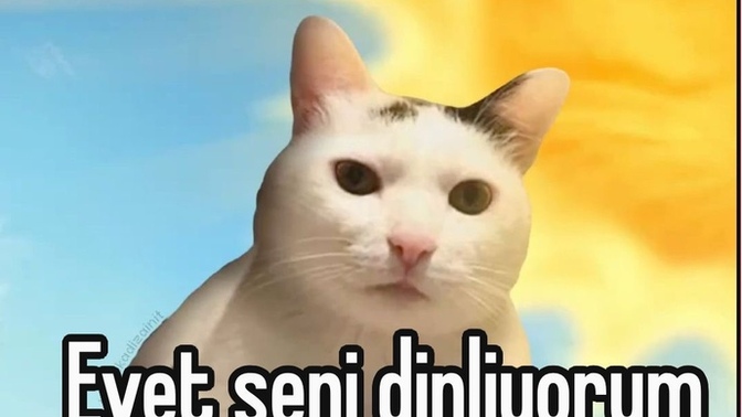 Neden evlenmiyorsun?
