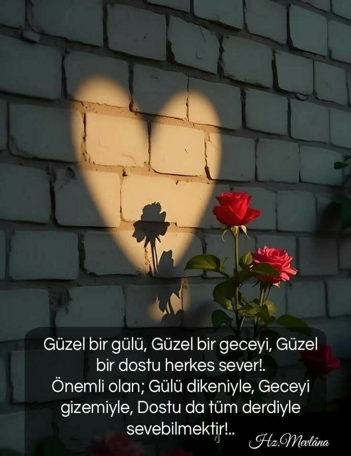 En güzel sabaha uyanmak dileğiyle 🥰 Sizin hayatınızda güzel olan ne?