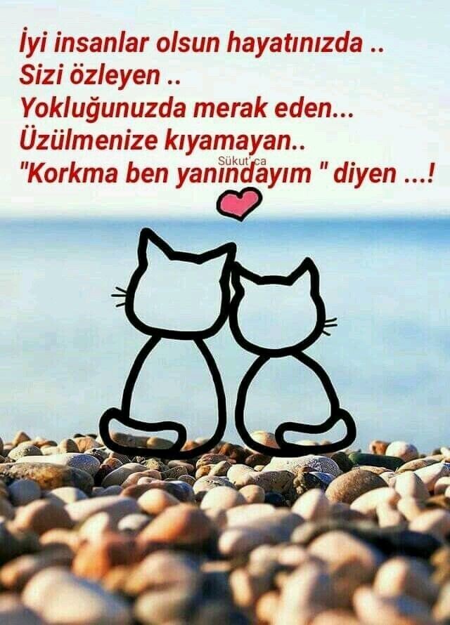 En güzel sabaha uyanmak dileğiyle 🥰 Sizin hayatınızda güzel olan ne?