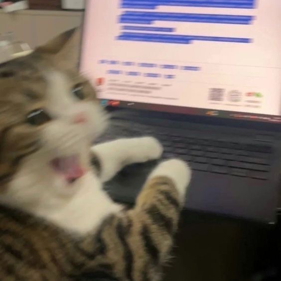 Öğleden sonra ne yapıyorsunuz?
