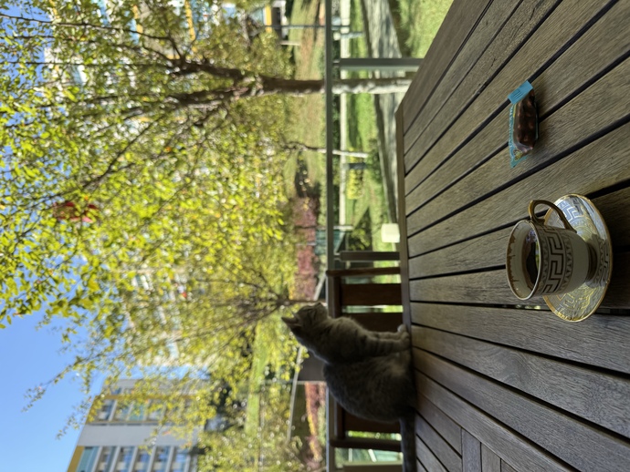 Balkon keyfi yapmayı sever misiniz?