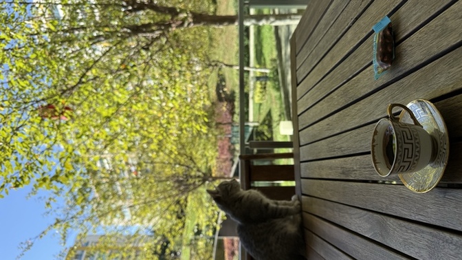 Balkon keyfi yapmayı sever misiniz?