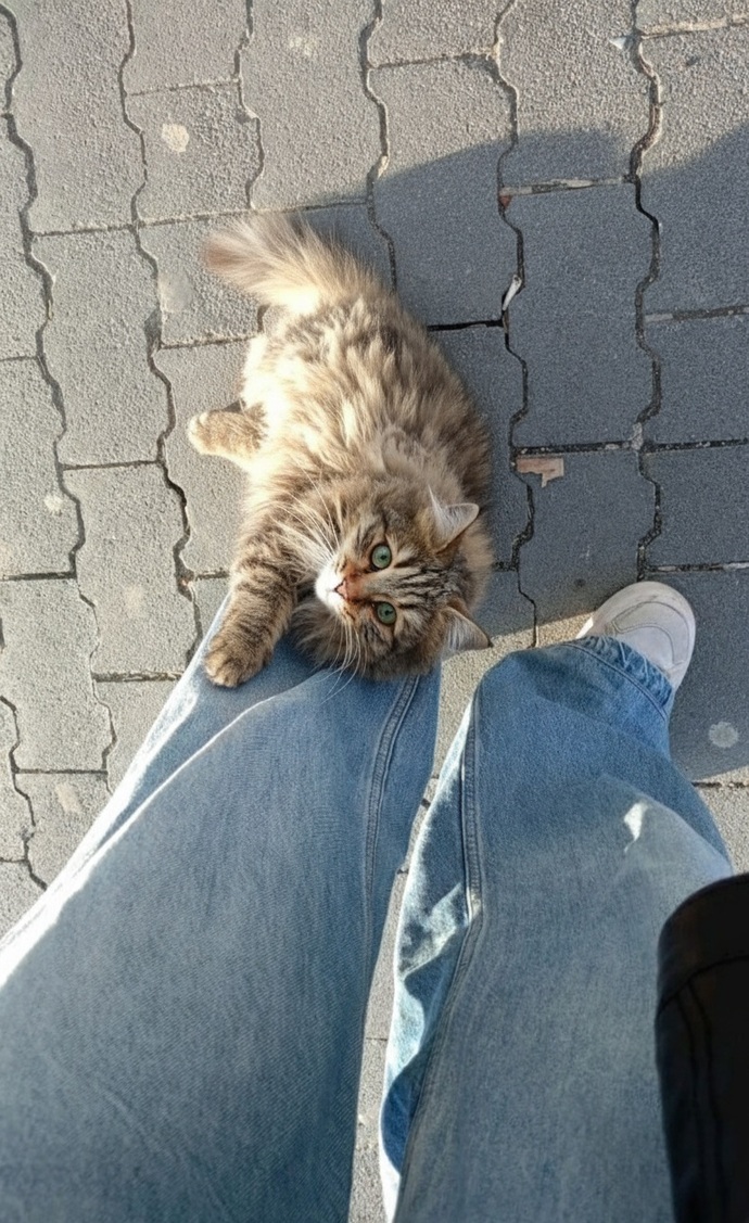 Birisi şu kıza beni rahat bırakmasını söyleyebilir mi?