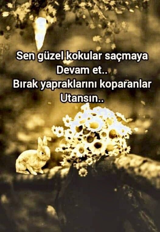 İyi ki yapmışım dediğiniz bir hatanız veya yanlışınız oldu mu?