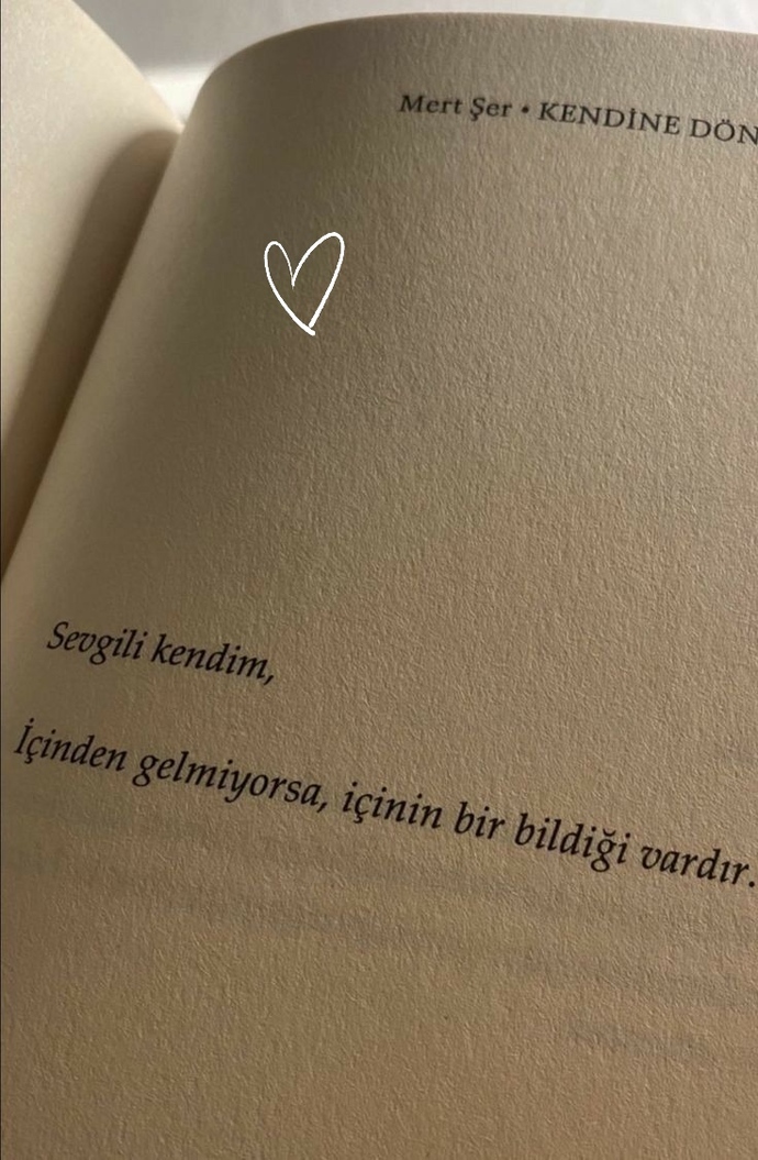 Tercihlerinize daha çok neye göre karar verir siniz?