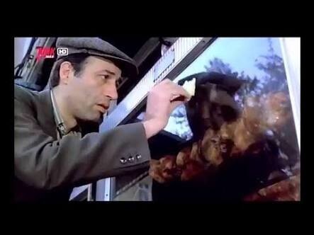 Sosyal medyada aşk olur mu?