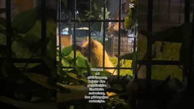 Okuduğunuzda ağlamanıza sebep olan ya da sizi çok hüzünlendiren bir söz var mı?