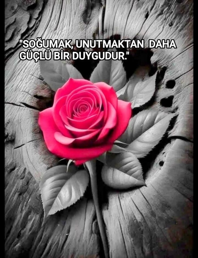 Soğumak unutmaktan daha mı güçlü bir duygudur?