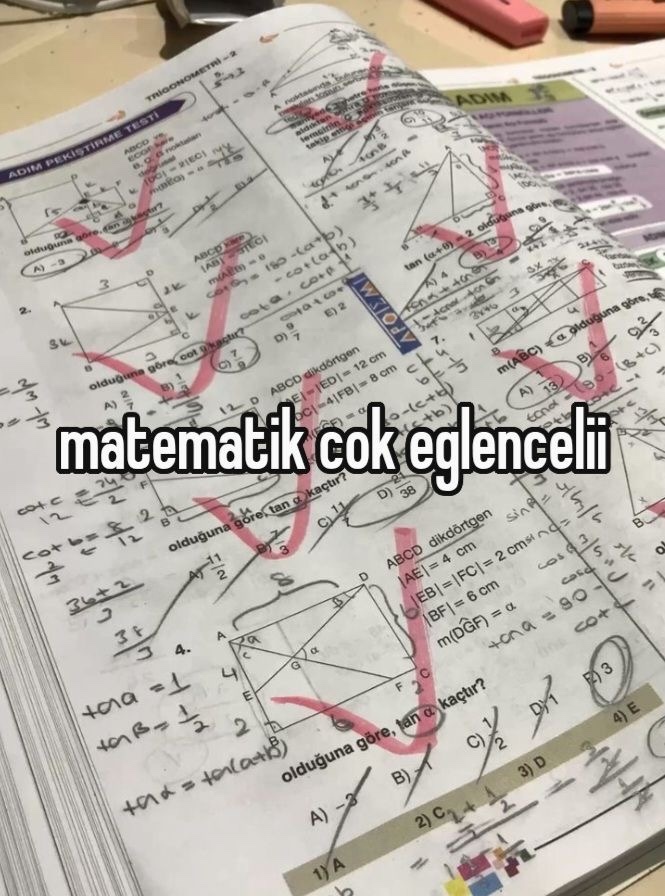 Lise yıllarında en sevdiğin ders?
