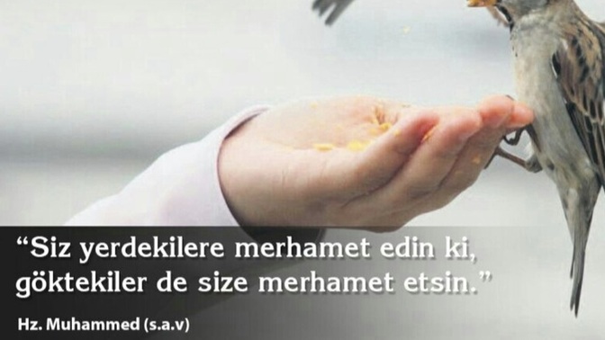 Merhamet acımak mıdır, acıtmamak mı?