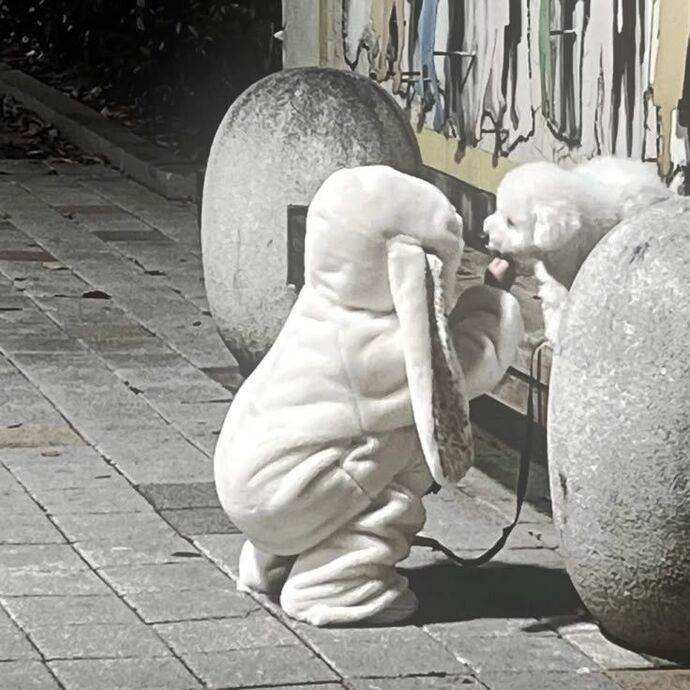 Yemek dediysem bir günlük öğünüm