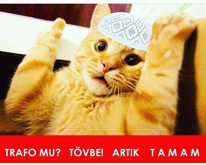 Keşke benimde kocam olsaydı, gerekirse kel olsun yeterki kocam olsun dediğiniz oluyor mu?