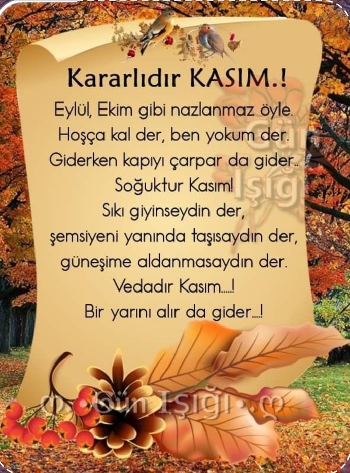 Kasim ayı veda ayı mıdır?