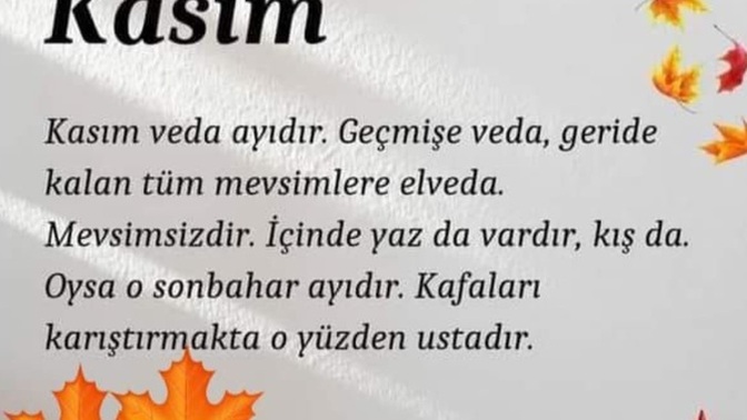 Kasim ayı veda ayı mıdır?