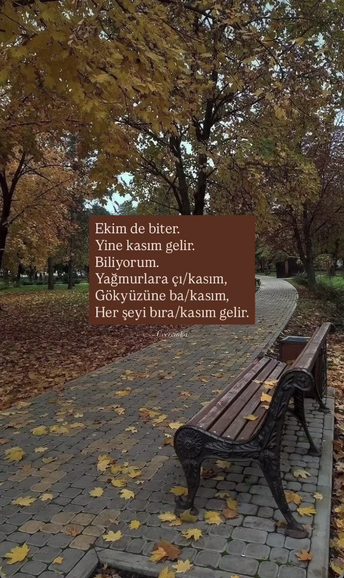 Her gelen yeni ay için beklentiye girenleri komik buluyor musun?