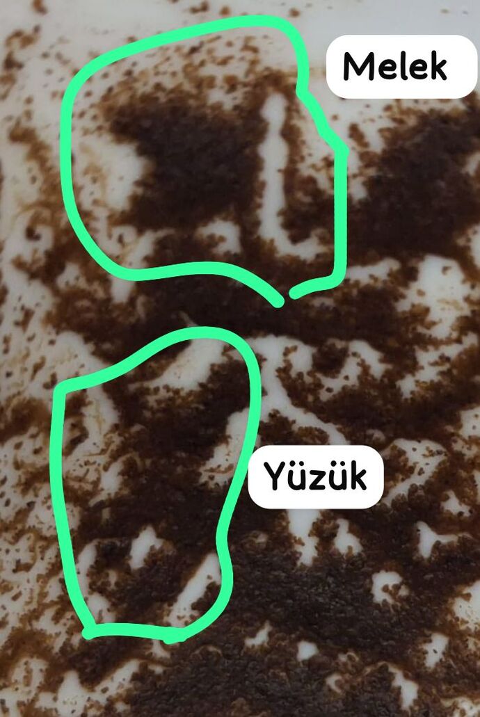 FFalımda melek çıkmış gördünüz mü?