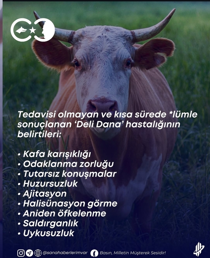 Bi de bu mu çıktı ya gerçekten?