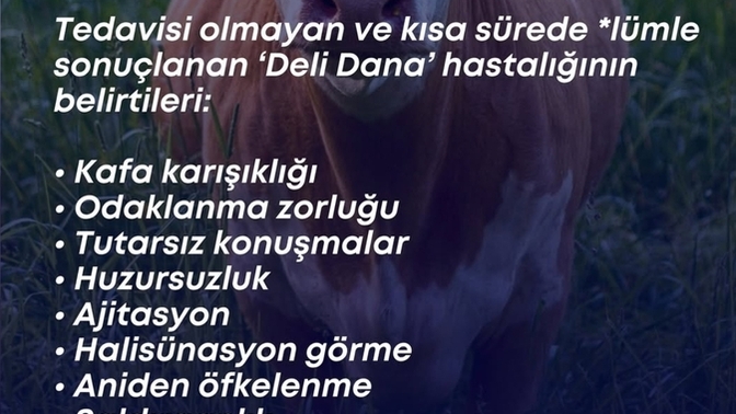 Bi de bu mu çıktı ya gerçekten?