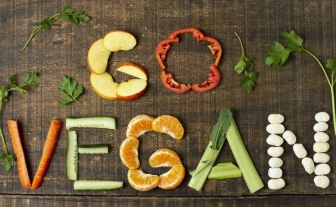 Bugün 1 Kasım Dünya Vegan Günü. Veganlık ile ilgili düşünceniz nedir?