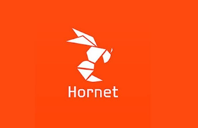 Hornet kullanan var mı? güvenilir mi?