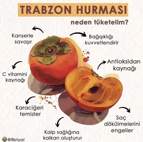 Trabzon hurması sever misiniz?