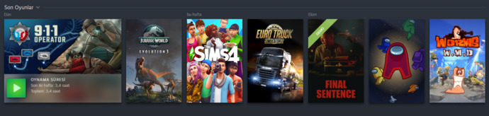 Pc oyunu oynuyor musunuz?