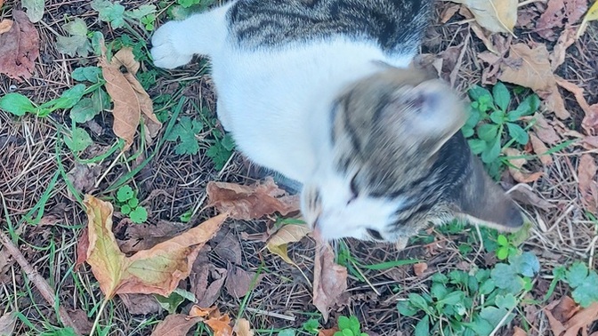 Kızımın adı ne olsun🐈?