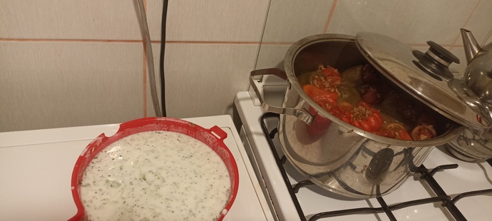 Yaz sezonun bitiminde dolma yaptım ve cacık yaptım?
