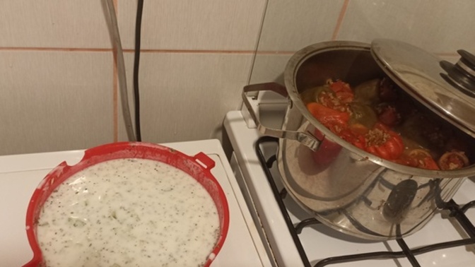 Yaz sezonun bitiminde dolma yaptım ve cacık yaptım?