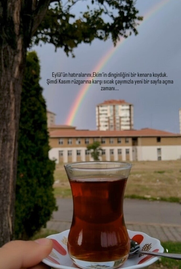Peki siz ne için hangisini tercih edersiniz?