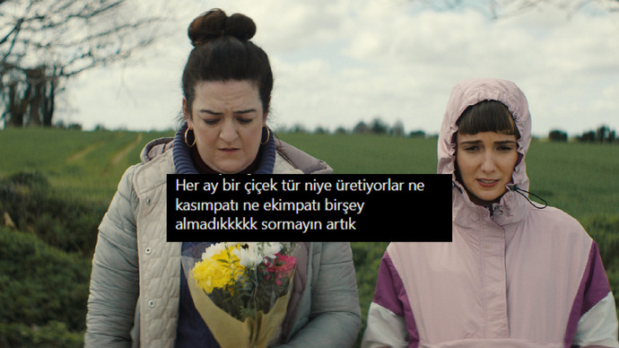 Herkese kasımpatı, bize zıkkımpatı 🌼 Bizim payımıza neden hep saksı düşüyor?