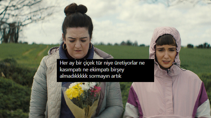 Herkese kasımpatı, bize zıkkımpatı 🌼 Bizim payımıza neden hep saksı düşüyor?